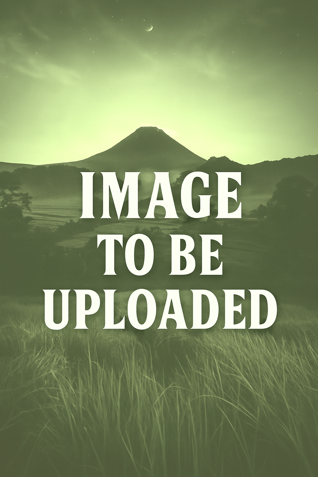 Pet Loss Crystal Healing Pack – Gift - Free UK Delivery